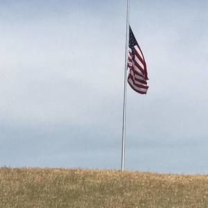 Meet your Posher, Sandi